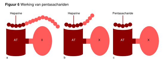 Figuur 6 - werking van pentasachariden.svg