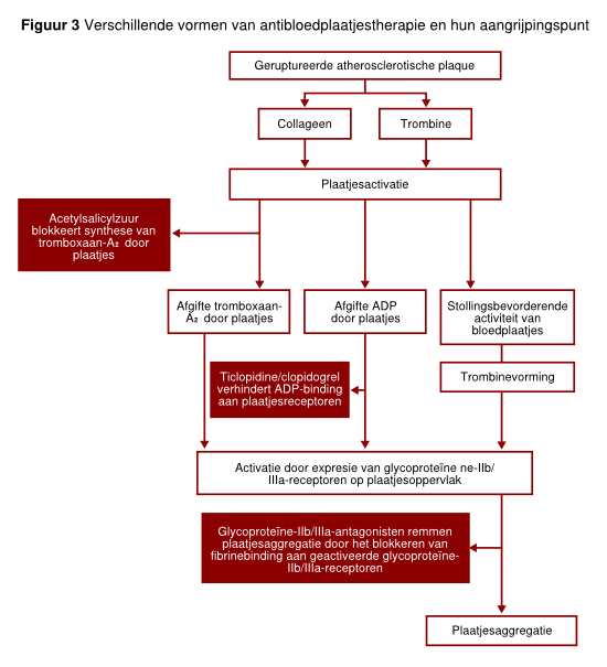 Figuur 3 - verschillende vormen van antibloedplaatjestherapie en hun aangrijpingspunten.svg