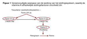 Figuur 1 - vereenvoudigde weergave stollingssysteem.svg