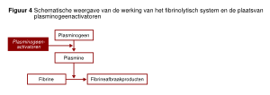Figuur 4 - schematische weergave van het fibrinolytisch systeem.svg