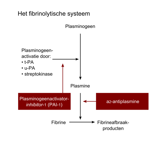 File:FIG00002.png