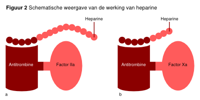 Figuur 2 - werking van heparine.svg